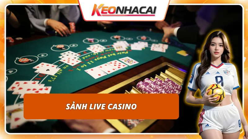 Sảnh Live Casino độc đáo được HAYWIN thể hiện cực kỳ tốt