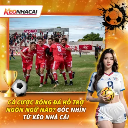 Cá Cược Bóng Đá Hỗ Trợ Ngôn Ngữ Nào? Góc Nhìn Từ Kèo Nhà Cái