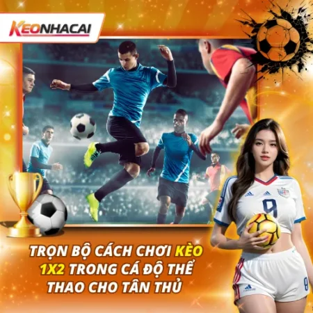 Trọn Bộ Cách Chơi Kèo 1×2 Trong Cá Độ Thể Thao Cho Tân Thủ 