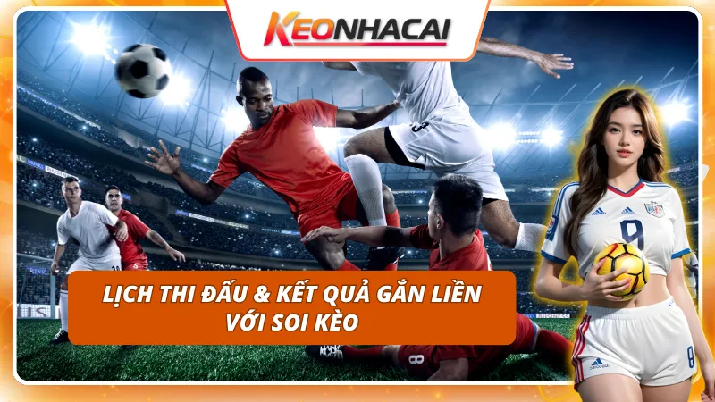 Mối liên hệ giữa lịch thi đấu và kết quả trận đấu