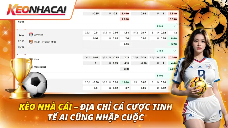 Các công cụ nổi bật tài giúp người chơi soi kèo dễ hơn