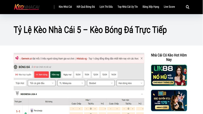 các tỷ lệ kèo nhà cái phổ biến